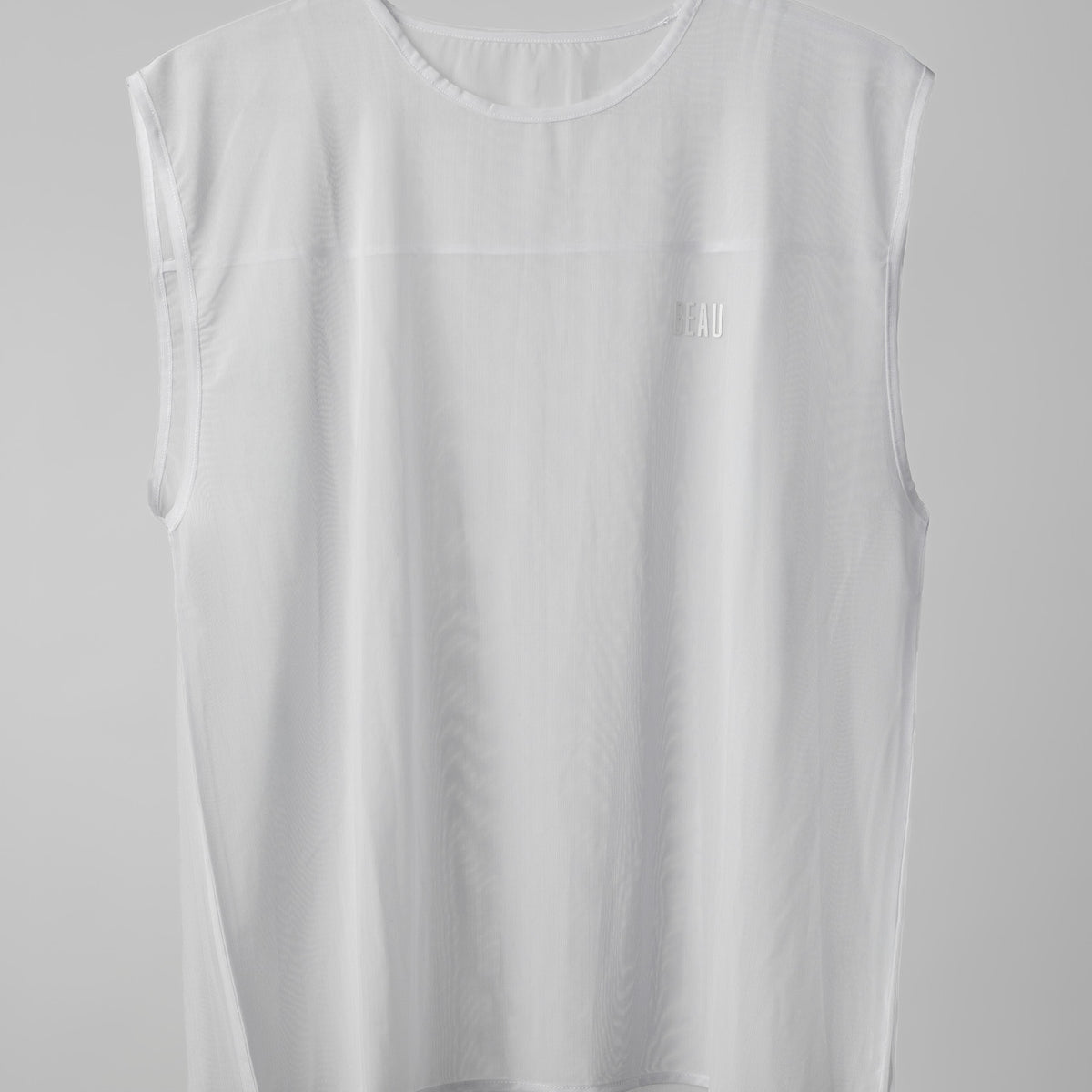 The Ghost in the Tank and the Analog Heart